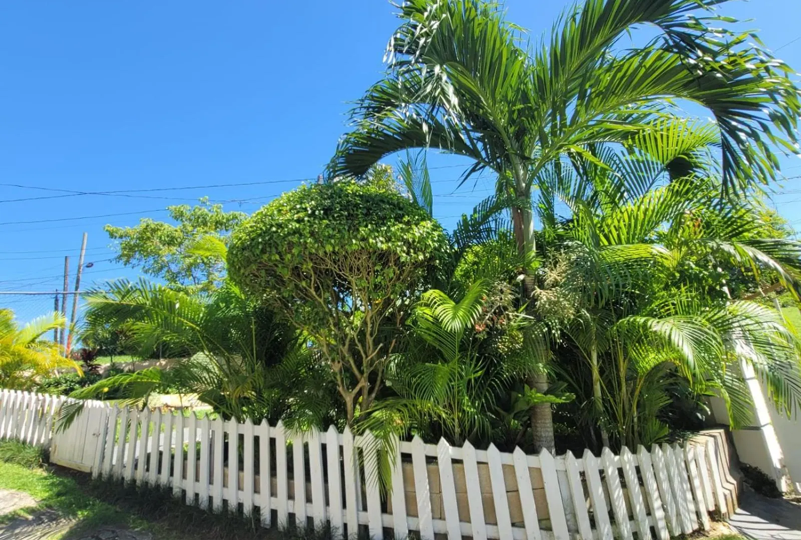 Holiday home Palm Breeze Villa Jm Lucea
