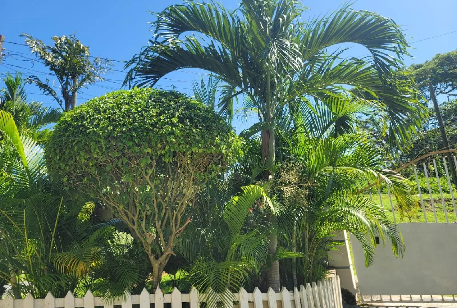 Palm Breeze Villa Jm Lucea Jamaica